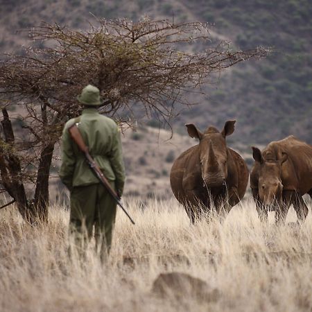 Hotel Elewana Lewa Safari Camp Timau Exteriér fotografie
