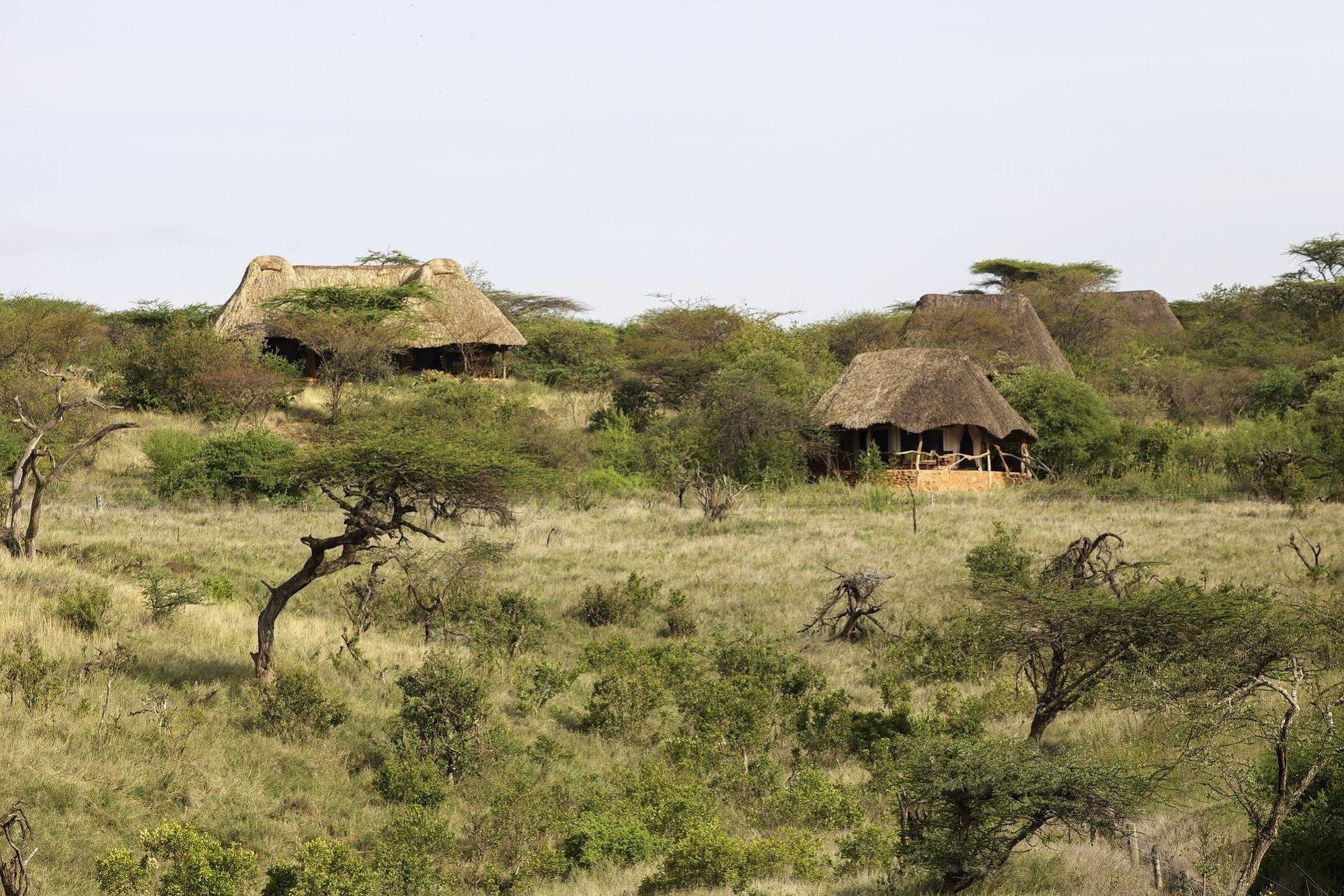 Hotel Elewana Lewa Safari Camp Timau Exteriér fotografie