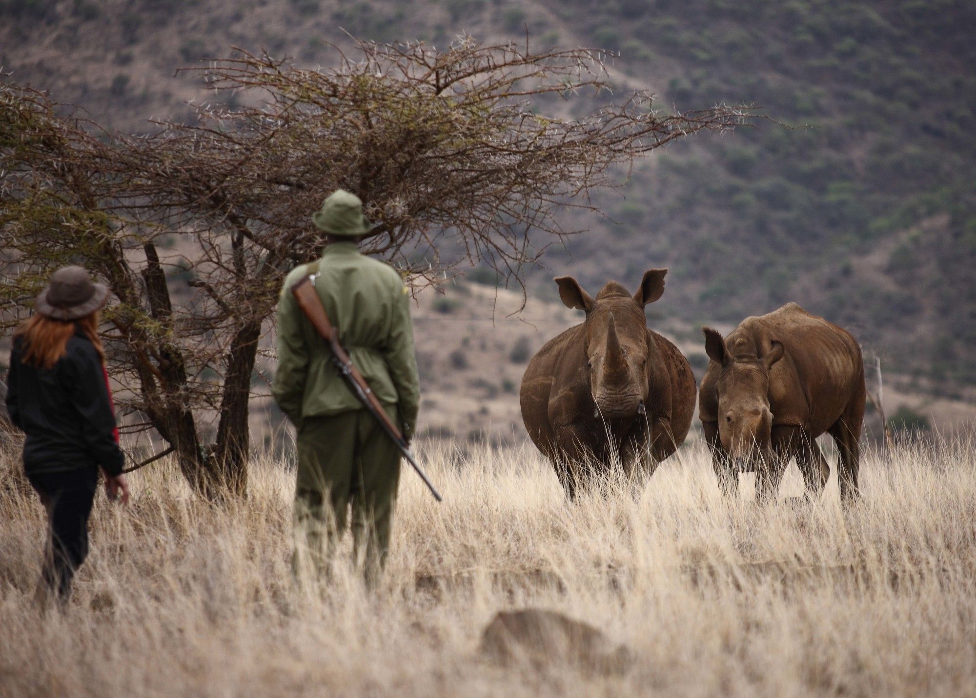 Hotel Elewana Lewa Safari Camp Timau Exteriér fotografie