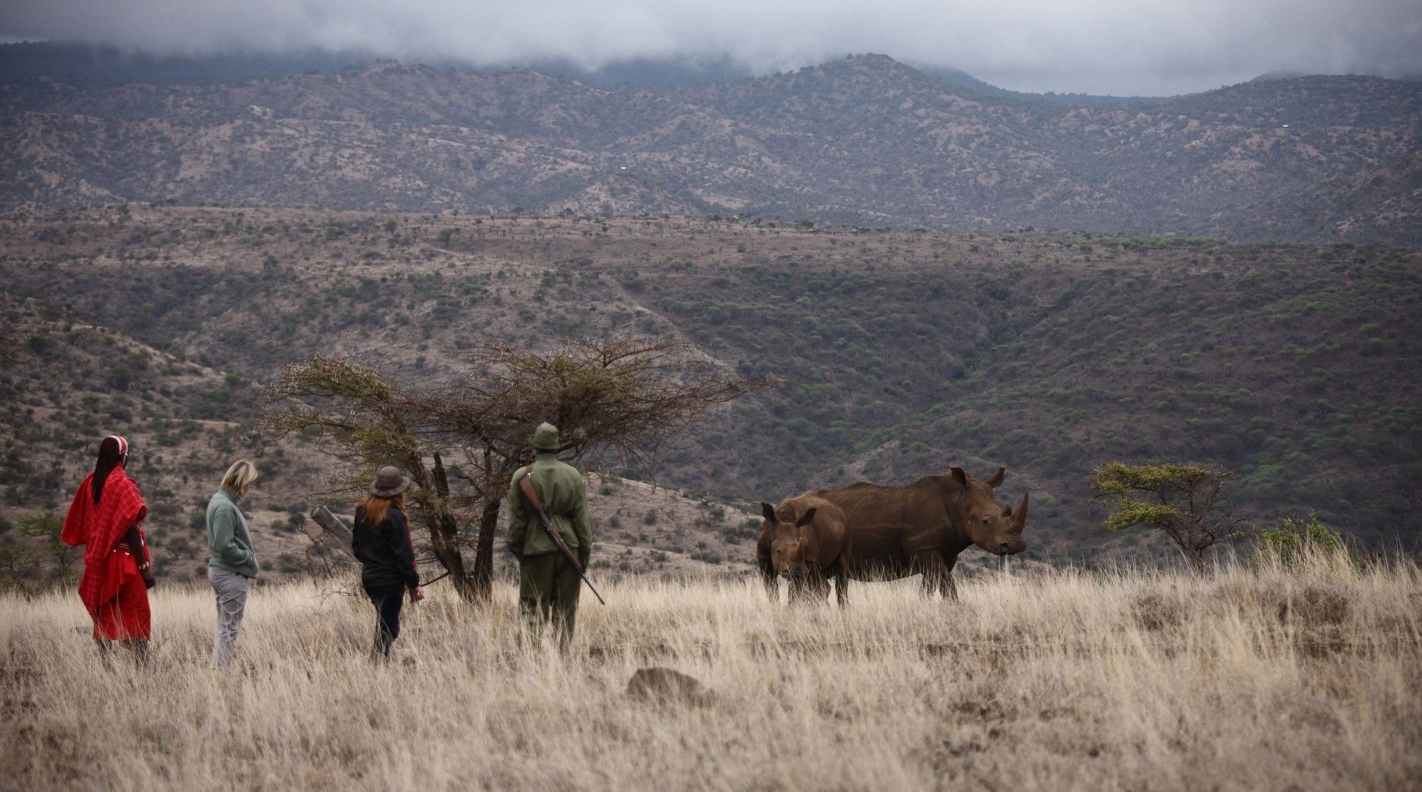 Hotel Elewana Lewa Safari Camp Timau Exteriér fotografie