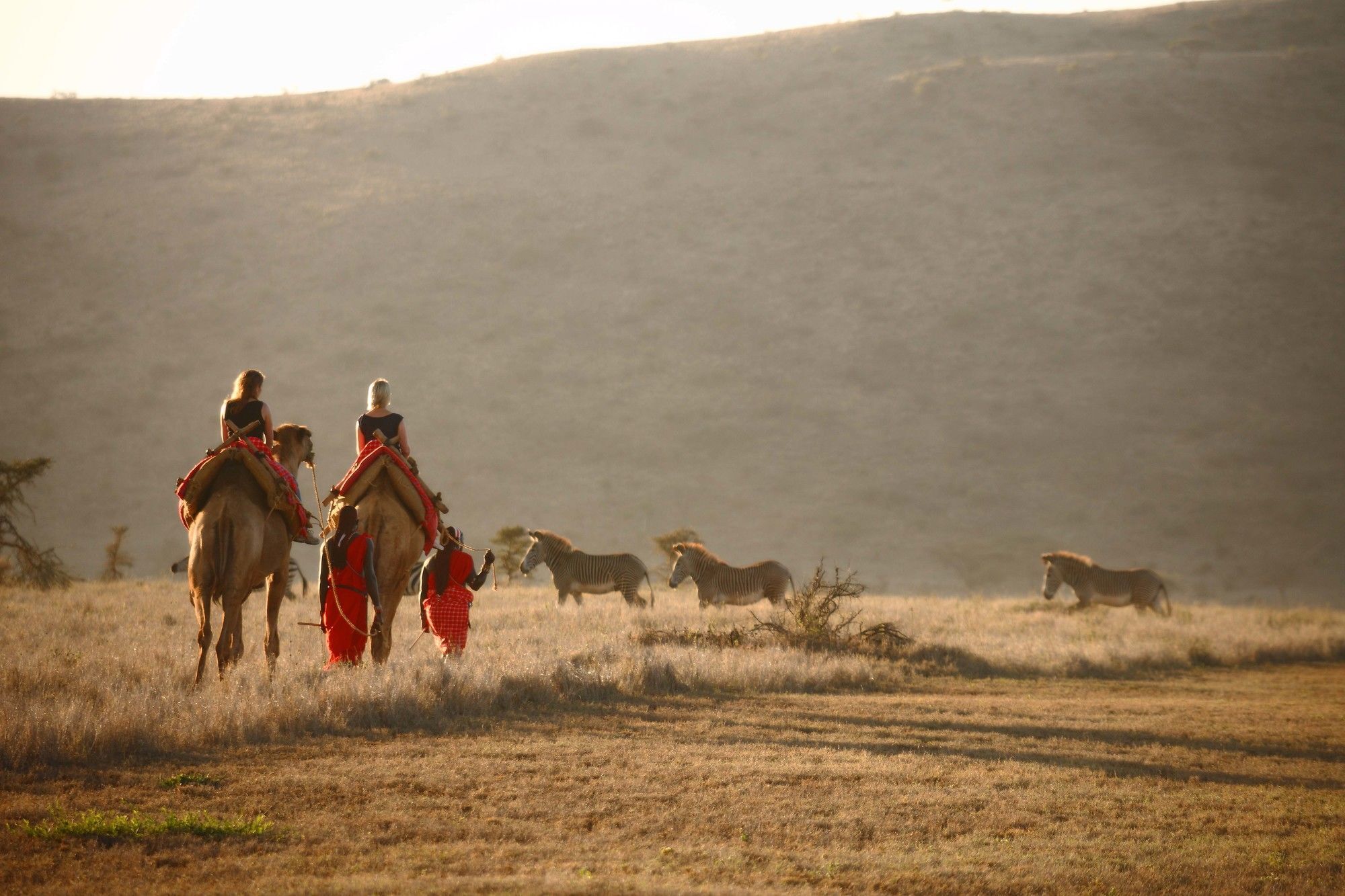 Hotel Elewana Lewa Safari Camp Timau Exteriér fotografie