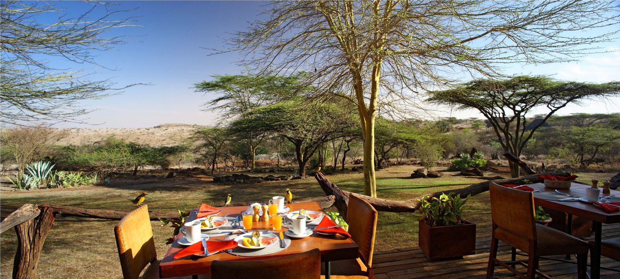 Hotel Elewana Lewa Safari Camp Timau Exteriér fotografie